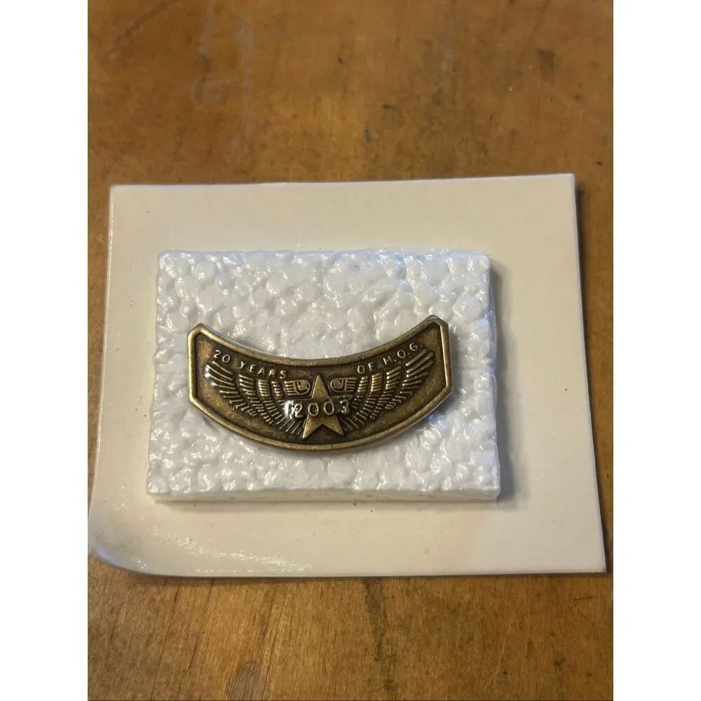 2003 HARLEY OWNERS GROUP 20 years of HOG H.O.G. CHAPTER MEMBER PIN (5276)